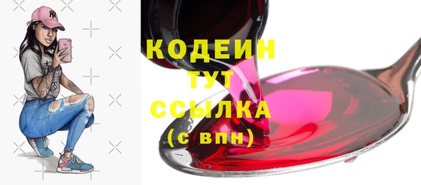 герыч Пересвет
