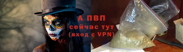 гашик Беломорск