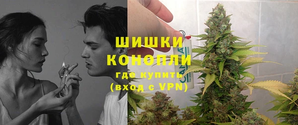 молекула духа Пестово